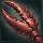 Aberrant Large Animal Claw