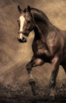 Packhorse